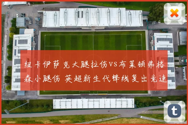 纽卡伊萨克大腿拉伤vs布莱顿弗格森小腿伤 英超新生代锋线复出竞速